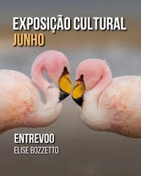Exposição Cultural Entrevôo